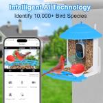 Smart Bird Feeder Camera: Auto Captures Bird Videos