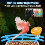 Smart Bird Feeder Camera: Auto Captures Bird Videos