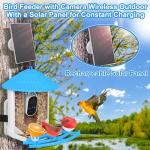 Smart Bird Feeder Camera: Auto Captures Bird Videos