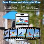 Smart Bird Feeder Camera: Auto Captures Bird Videos