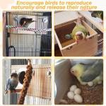 Parakeet Nest Box for Lovebirds and Parrotlets