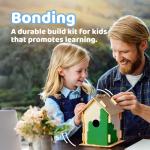 Neliblu DIY Bird House Kits for Creative Fun