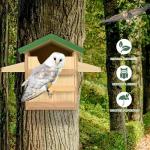 Large Handmade Screech Owl House with Stand