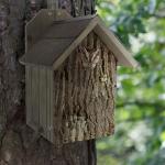 Premium Handmade Screech Owl House in Rustic Design