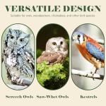 Large Handmade Screech Owl House with Stand