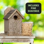Premium Handmade Screech Owl House in Rustic Design
