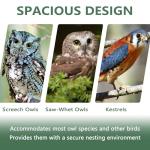 Prolee Owl House | Handmade Cedar Wood | Mount Included