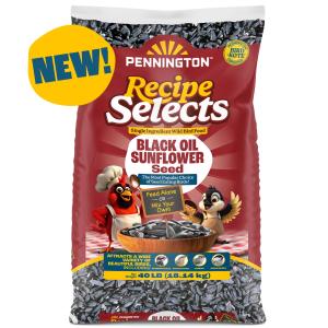 Pennington Black Oil Sunflower Seed Wild Bird Feed, 40 lbs
