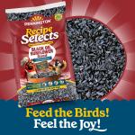 Pennington Black Oil Sunflower Seed Wild Bird Feed, 40 lbs
