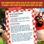 Pennington Black Oil Sunflower Seed Wild Bird Feed, 40 lbs