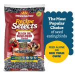 Pennington Black Oil Sunflower Seed Wild Bird Feed, 40 lbs