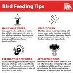 20 lb. Bag of Economy Blend Wild Bird Feed