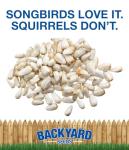 Premium Safflower Bird Seed for Backyard Birds 20 lb