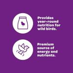 Kaytee Wild Bird Food Blend for Colorful Songbirds