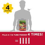 Cardinal Blend Wild Bird Food, 4-Pound Bag