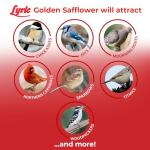 Golden Safflower Seed for Cardinals and More - 12 lb