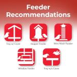 Golden Safflower Seed for Cardinals and More - 12 lb