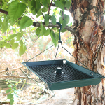 Platform Tray Bird Feeder by Zenport