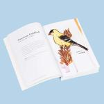 Dumb Birds Field Guide for North American Bird Lovers