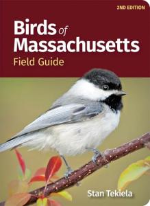 Massachusetts Bird Identification Field Guide