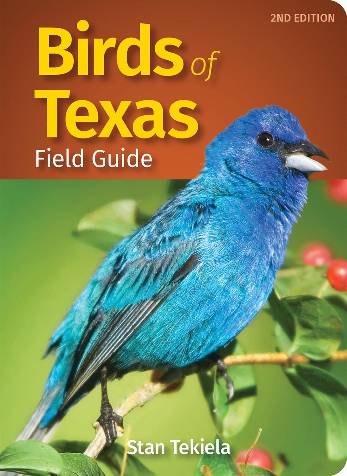 Texas Birds Field Guide for Easy Identification
