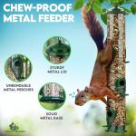 Durable 6-Port Metal Bird Feeder - Gray Bunny