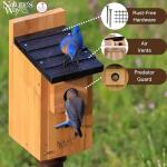 Cedar Blue Bird Box House for Wild Birds