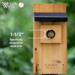 Cedar Blue Bird Box House for Wild Birds