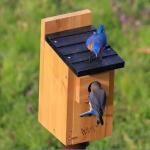 Cedar Blue Bird Box House for Wild Birds