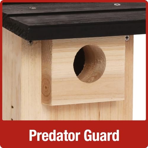 Cedar Bluebird House by Nature's Way Bird Products