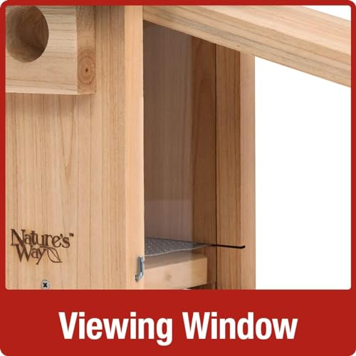 Cedar Bluebird House by Nature's Way Bird Products