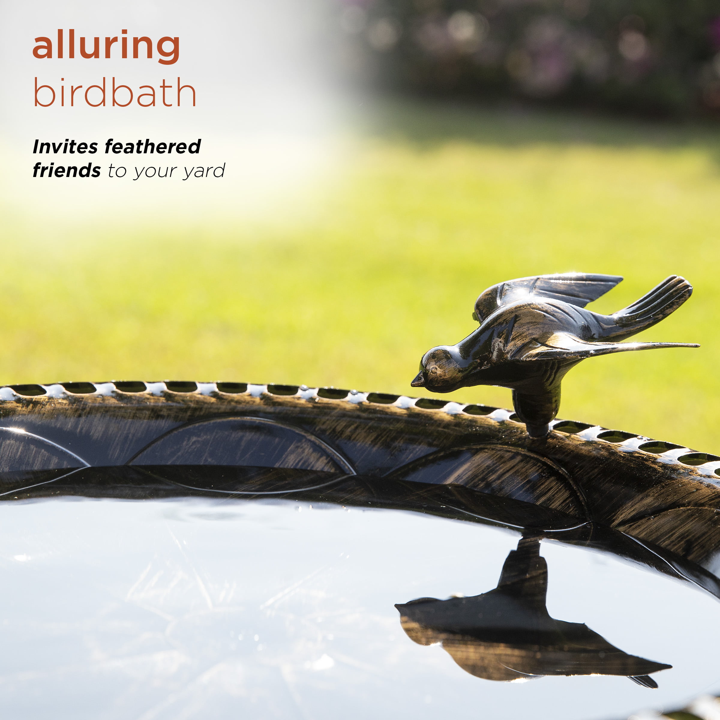 Bronze Bird Bath with Bird Figurine