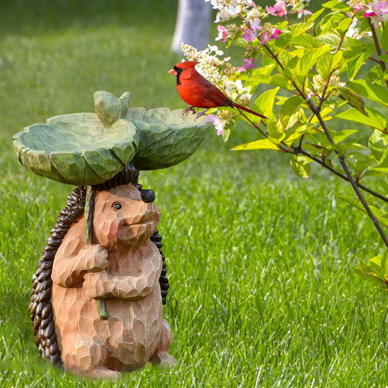 Wild Bird Bath Bowl for Outdoor Garden Decor