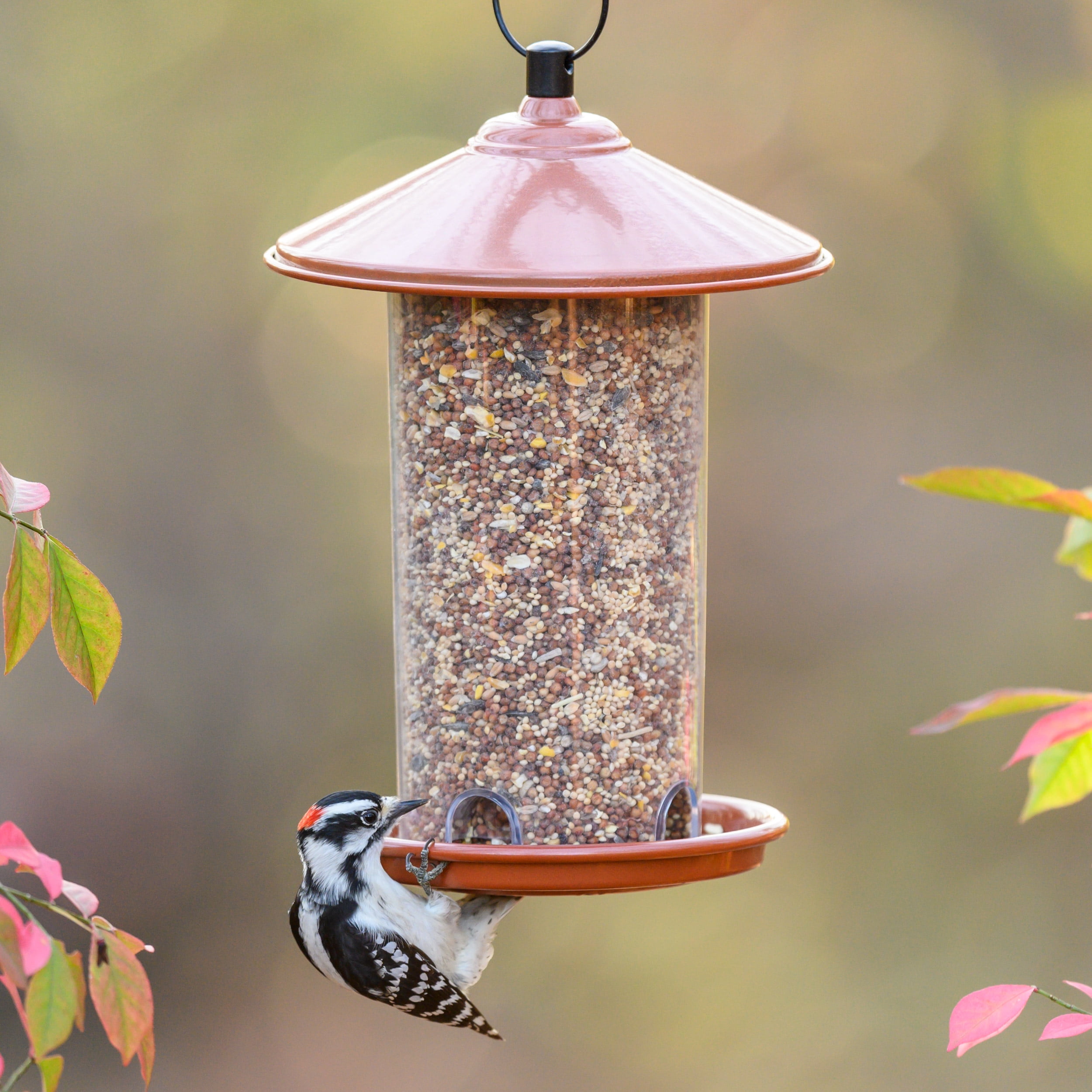 20 lb. Bag of Economy Blend Wild Bird Feed