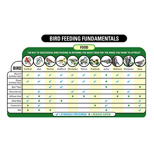 Wagner's Deluxe Treat Blend for Wild Birds