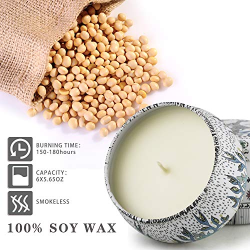 Scented Candles: 6-Pack, 180 Hour Burning, Essential Oil