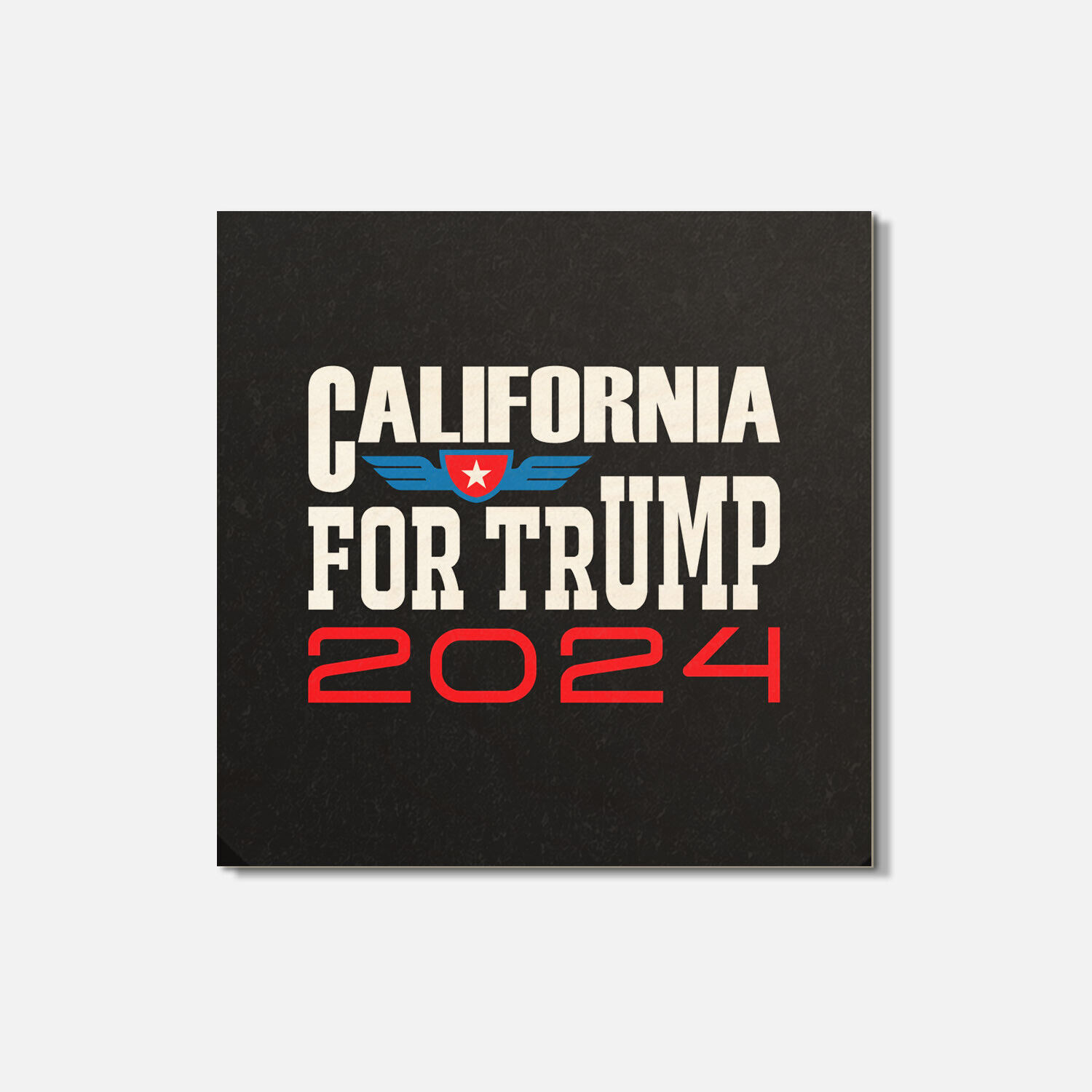 Make a statement with Trump 2024 coasters!