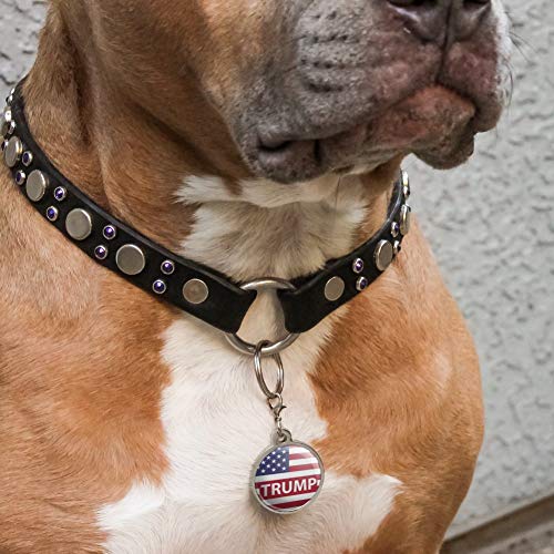 Trump 2024 Flag Pet ID Tag - Large