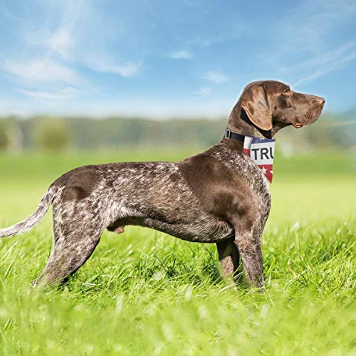 Trump 2024 Dog Collar with Bandana: American Flag