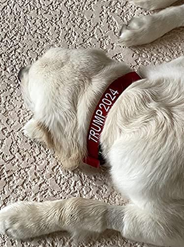 Trump 2024 Dog Collar and Leash Set - Customizable