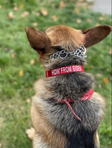 Trump 2024 Embroidered Red Dog Collar - All Sizes