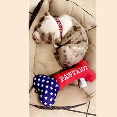 Trump 2024 Embroidered Red Dog Collar - All Sizes