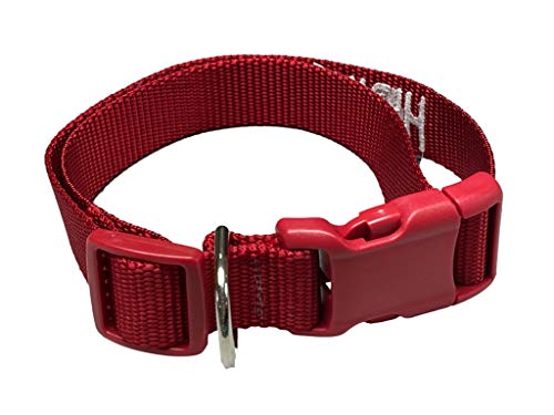 Trump 2024 Embroidered Red Dog Collar - All Sizes