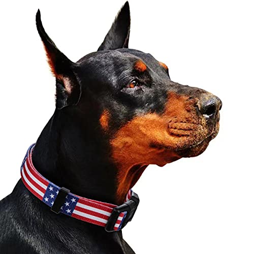 Fourth of July Dog Collar - Trump 2024