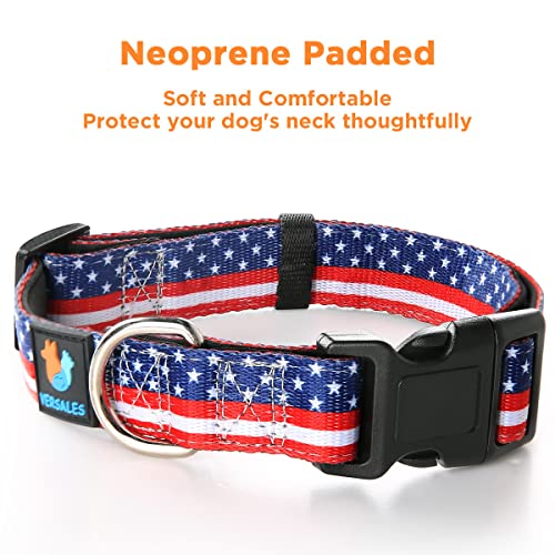 Trump 2024 American Flag Dog Collar