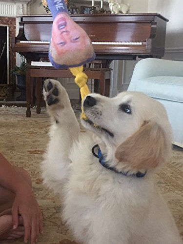Trump "Bite Me" Pet Chew Toy 2024