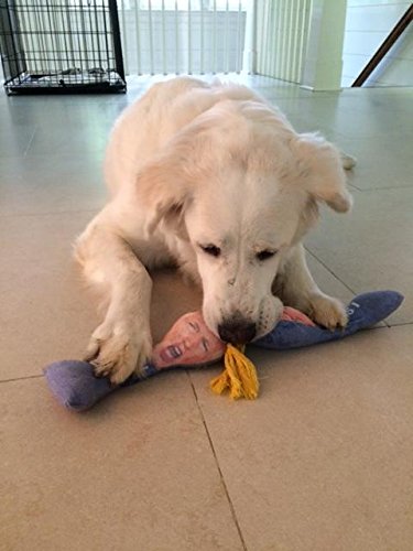 Trump "Bite Me" Pet Chew Toy 2024