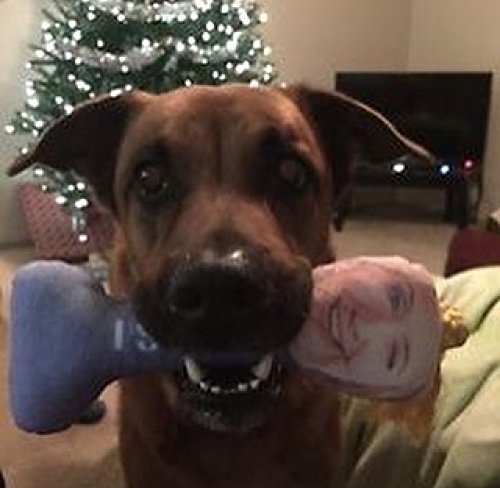 Trump "Bite Me" Pet Chew Toy 2024