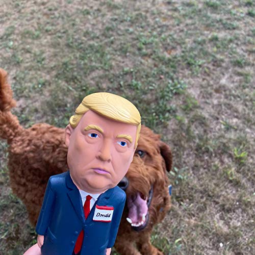Trump 2024 Squeaky Dog Toy - Funny, Realistic & Durable