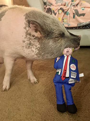Farfel's Resilient Trump Squeaker Toy for Dogs